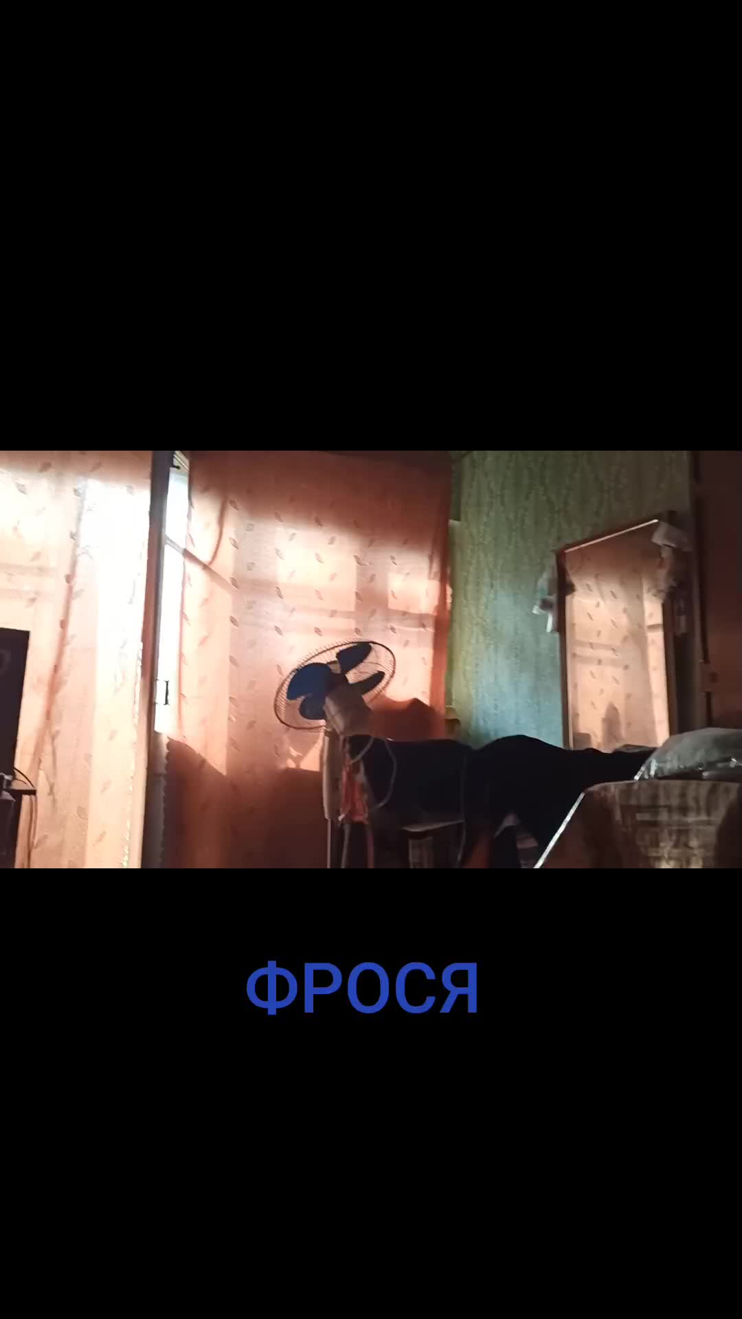 @НАТУЛИК 66