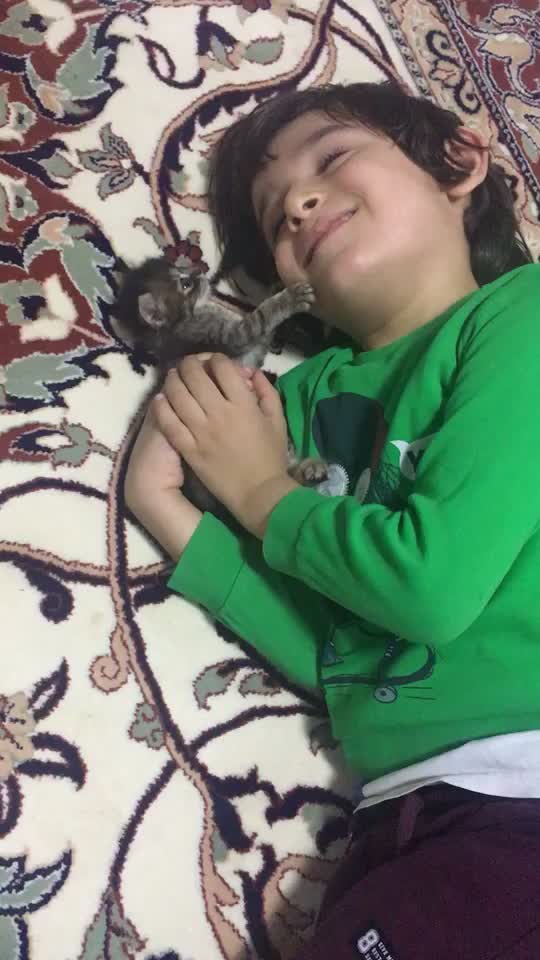 @ŞİRİN 🐈🐈