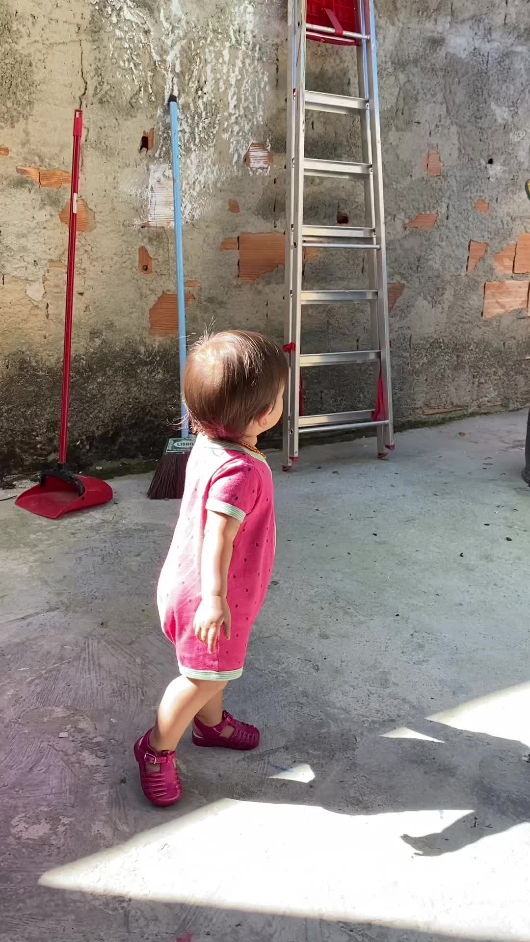 @Daniela Menezes