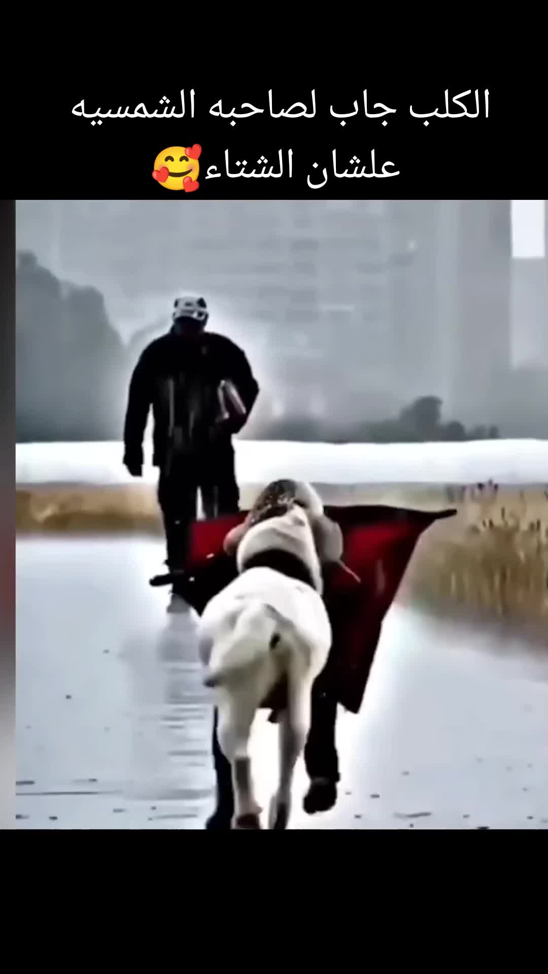 @مصطفى ابو علي