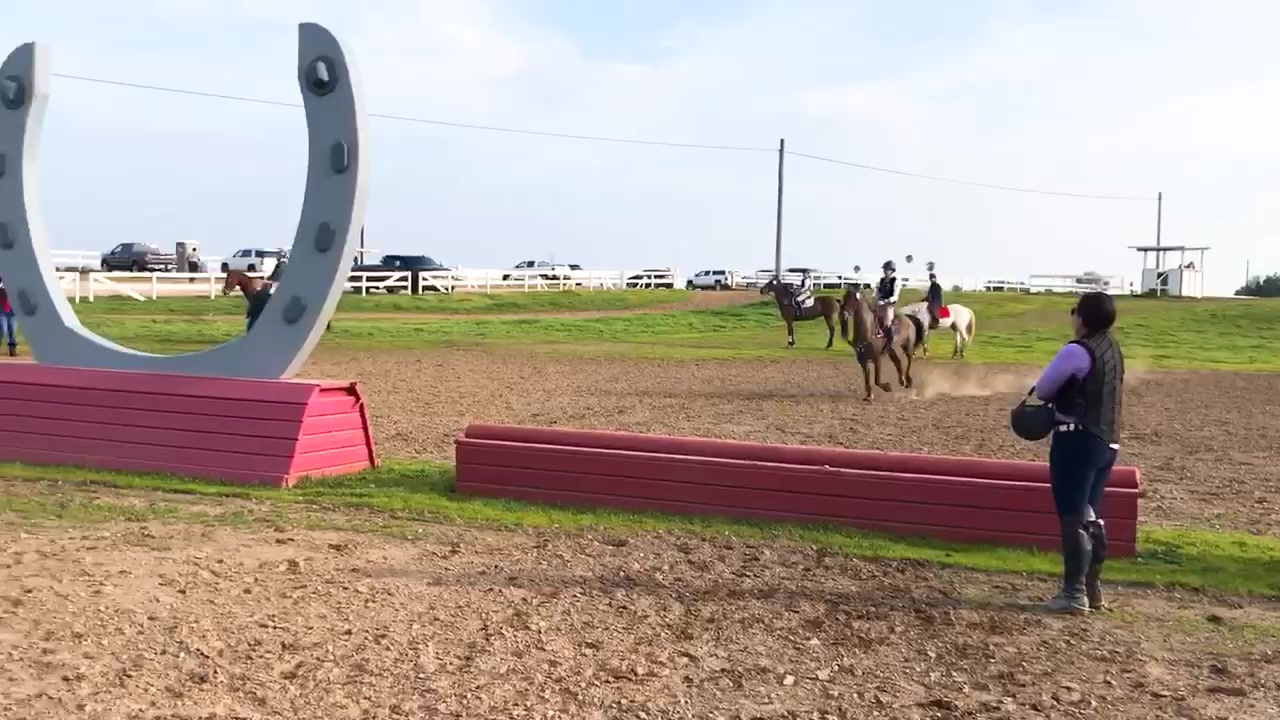 @Equine.blessings