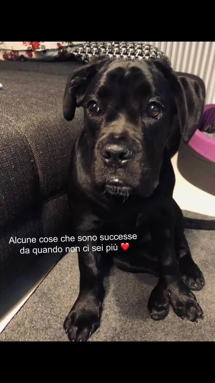 @Elena