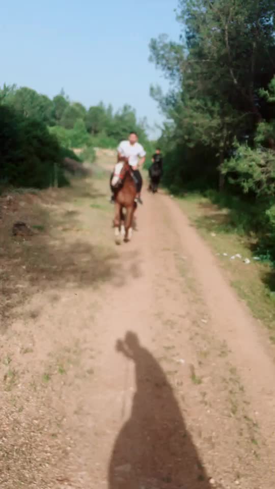@Asil g&uuml;lbahar