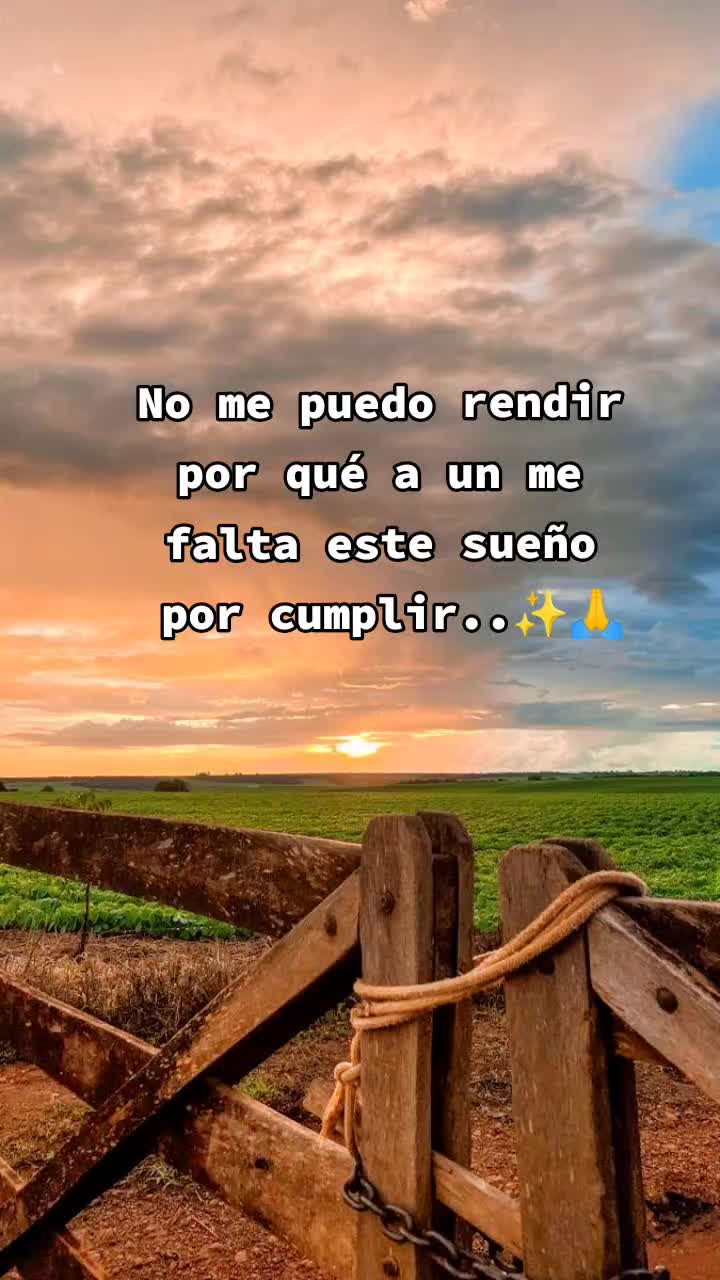 @Guillermo⚡☘️