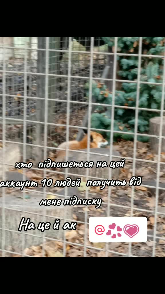 @💖💗