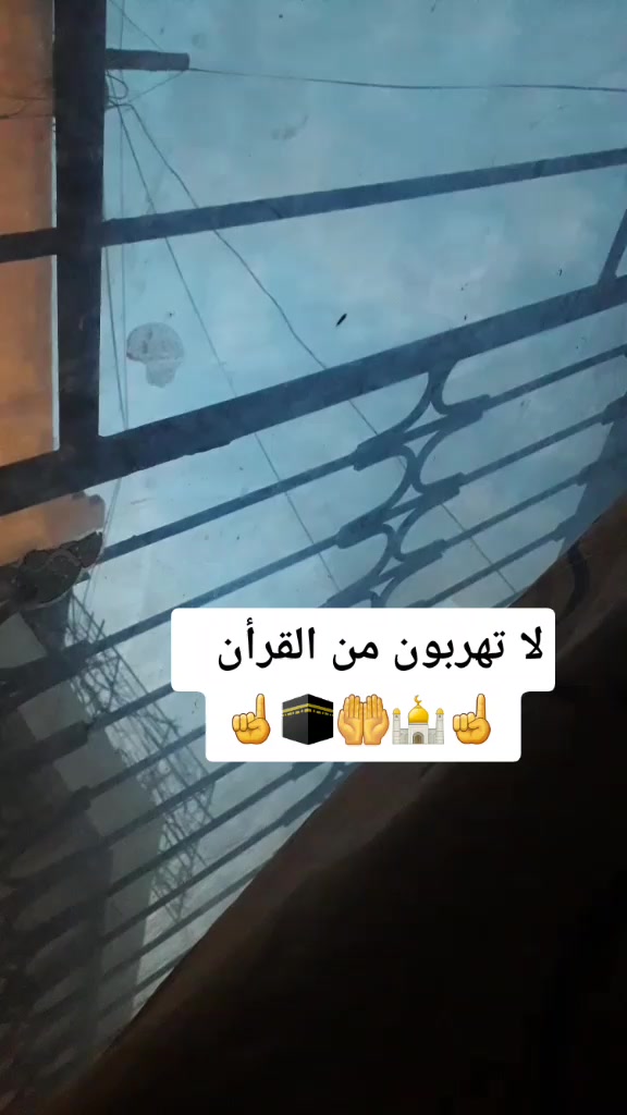 @saleh_md