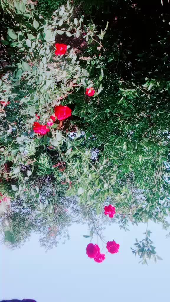@Sabir Ali