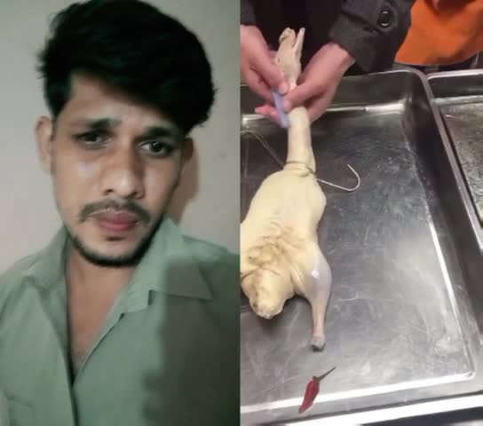 @Mehraj Shaik