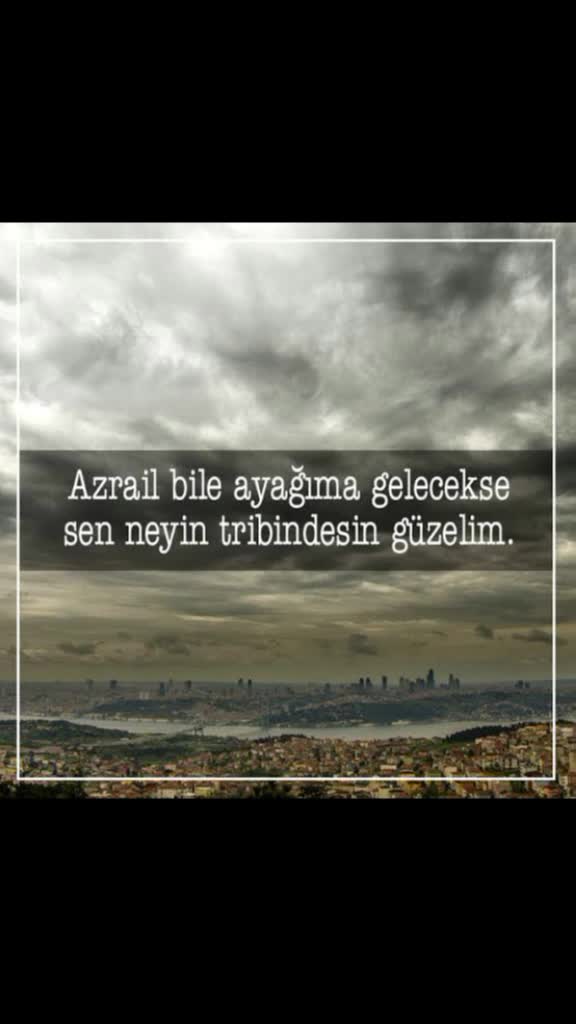 @Aykut Can