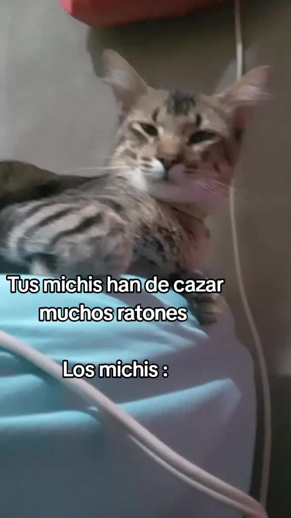 @Beatriz Mendiola