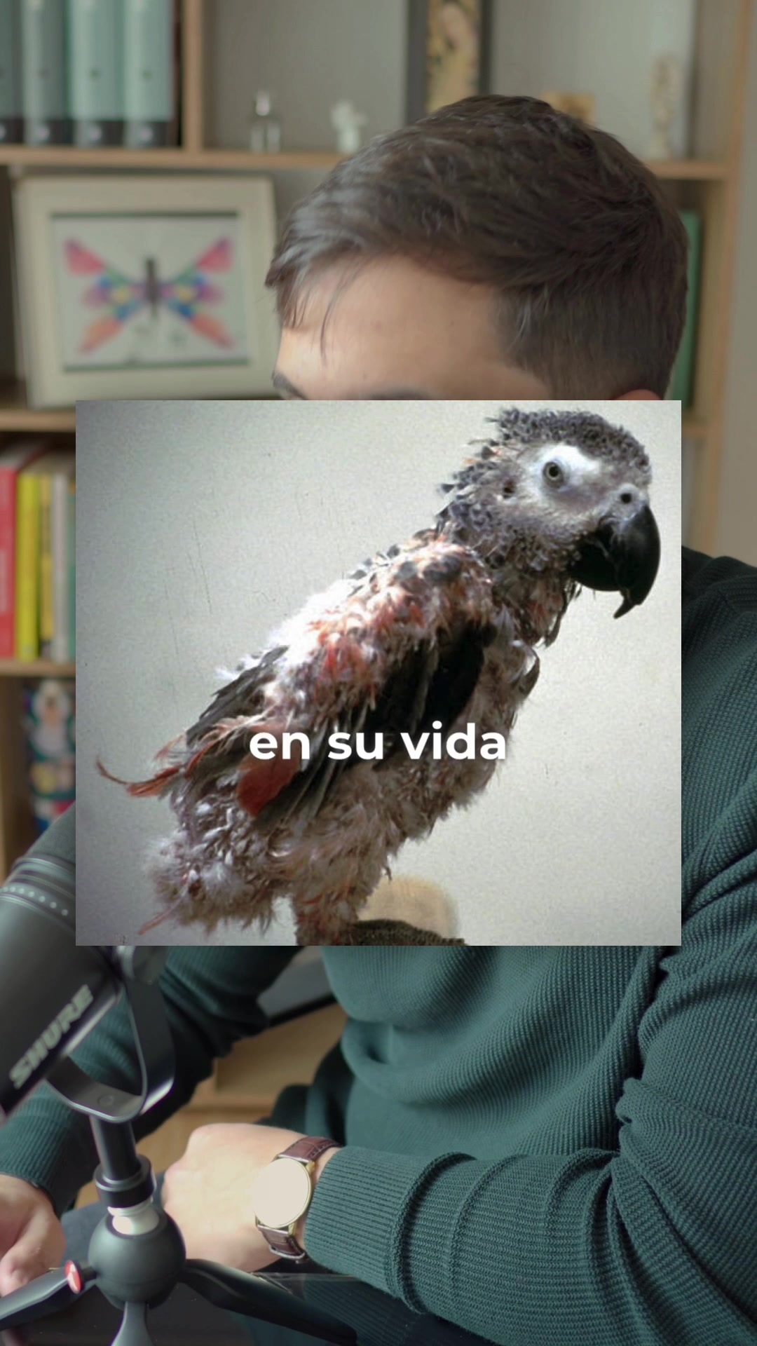 @Jhonny Romero