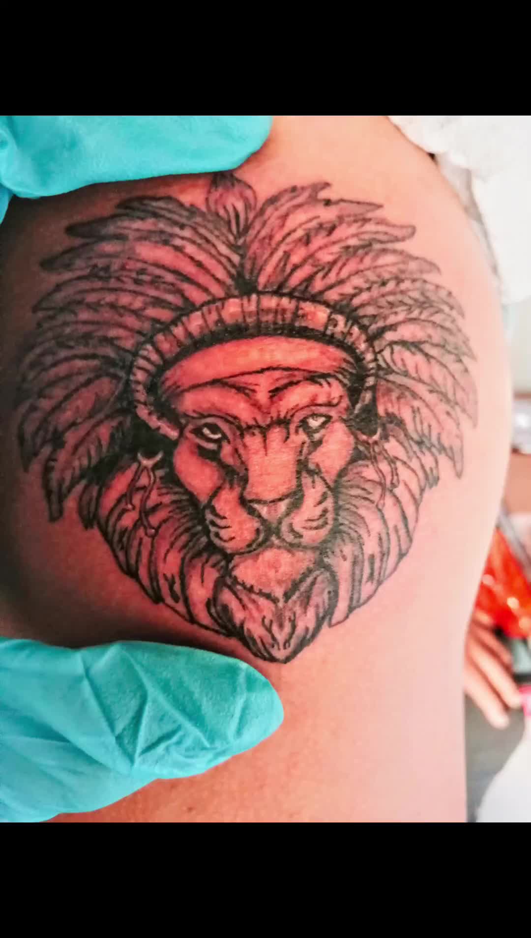 @Ruta 66.ink