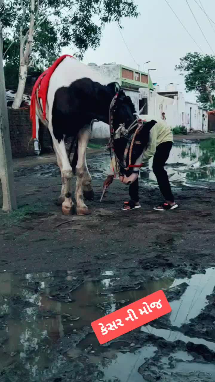 @JAY_MATAJI