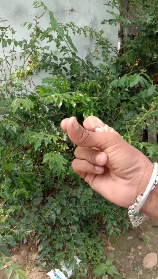 @ThiruAthram