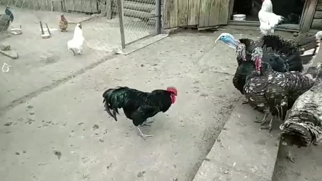 @LifeInFlow