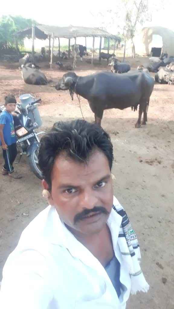 @દેપાલ ભાઇ વાલા