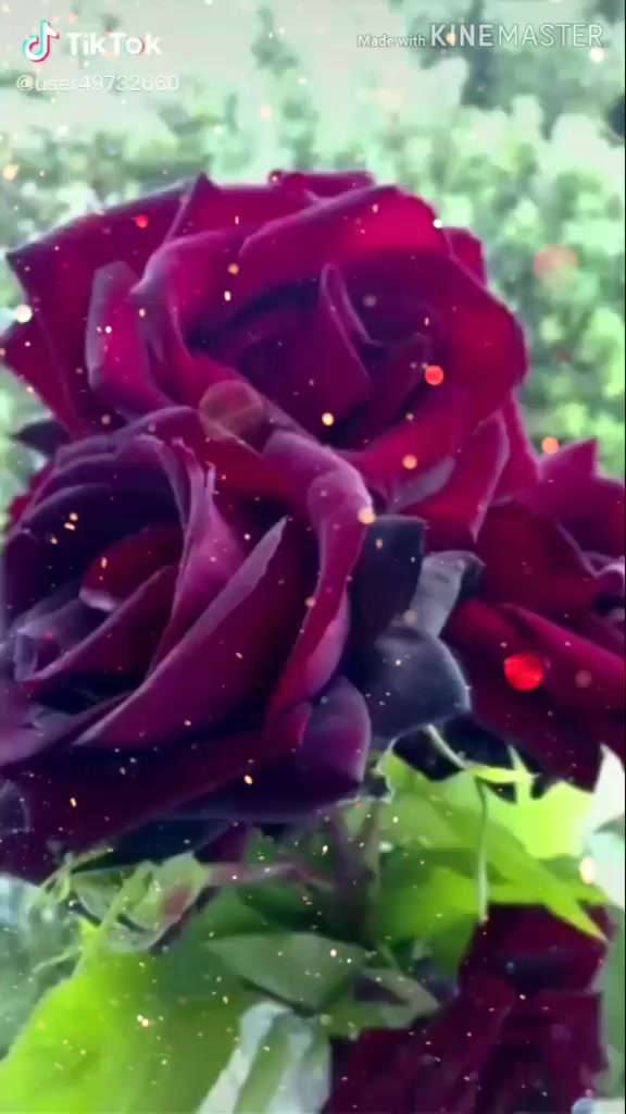 @Rahul Kumar