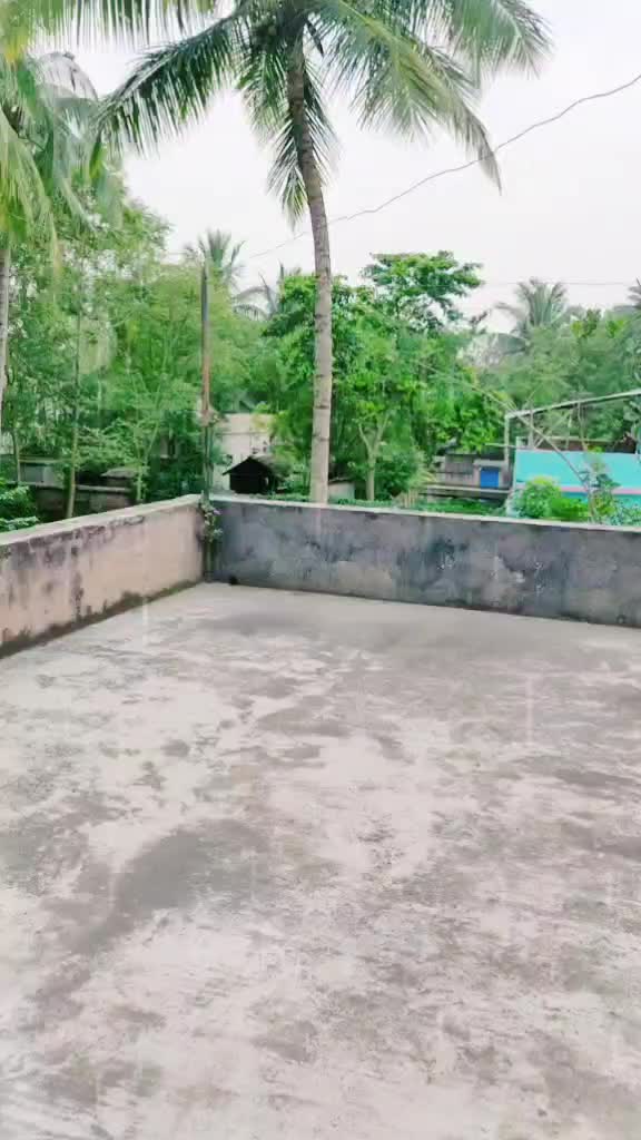 @Suchandra Das