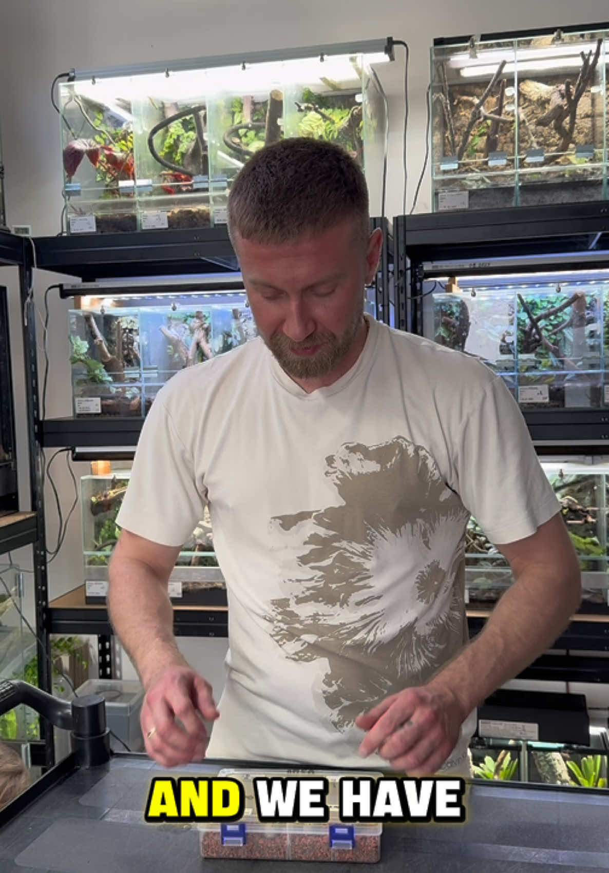 @P&M Gecko Nest🦎