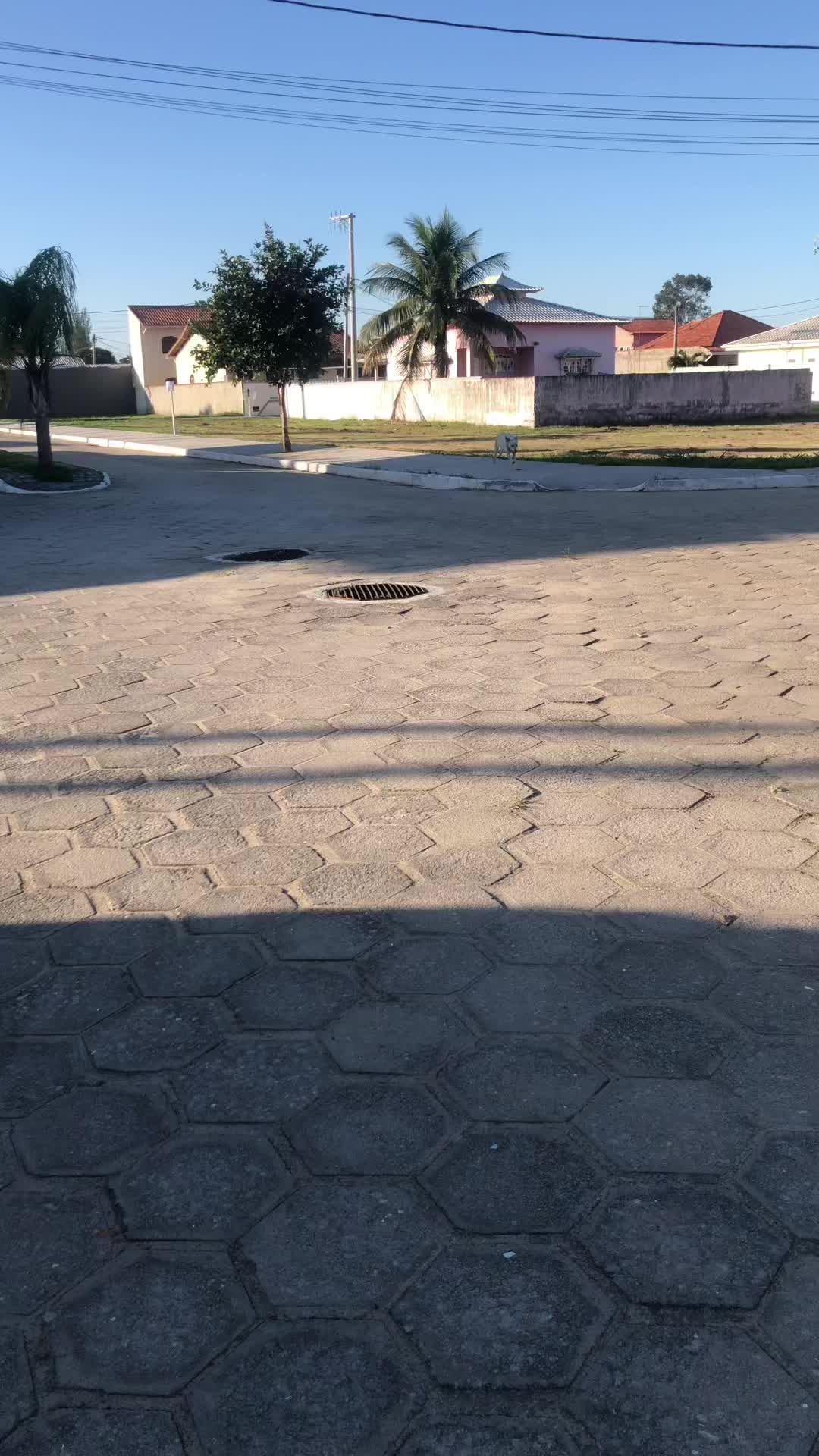 @Ludmila Fernandes