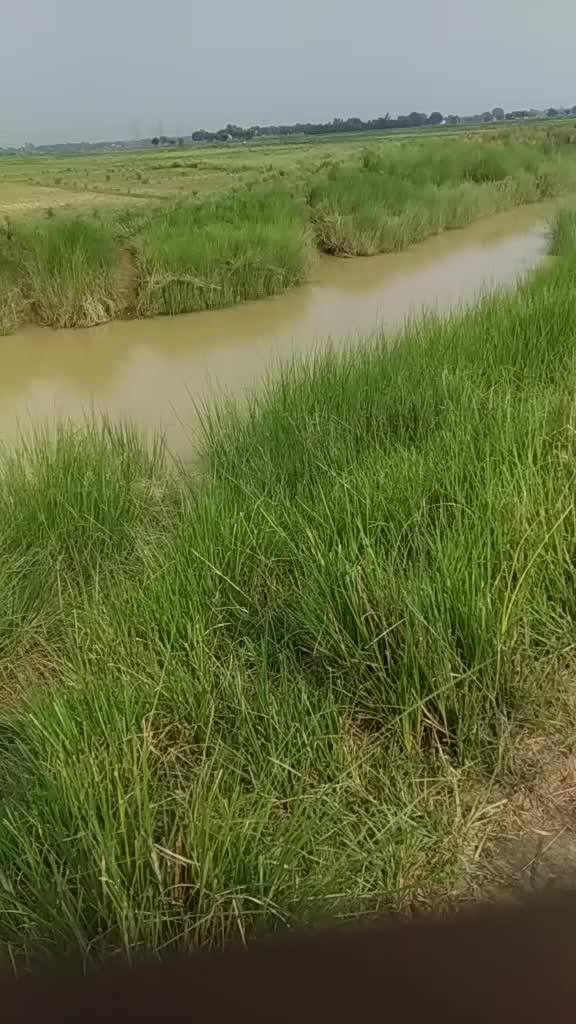 @Sunil Prajapati