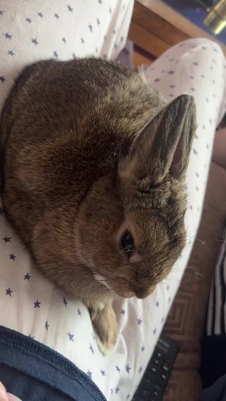 @Bugz_adventures 💙🐰