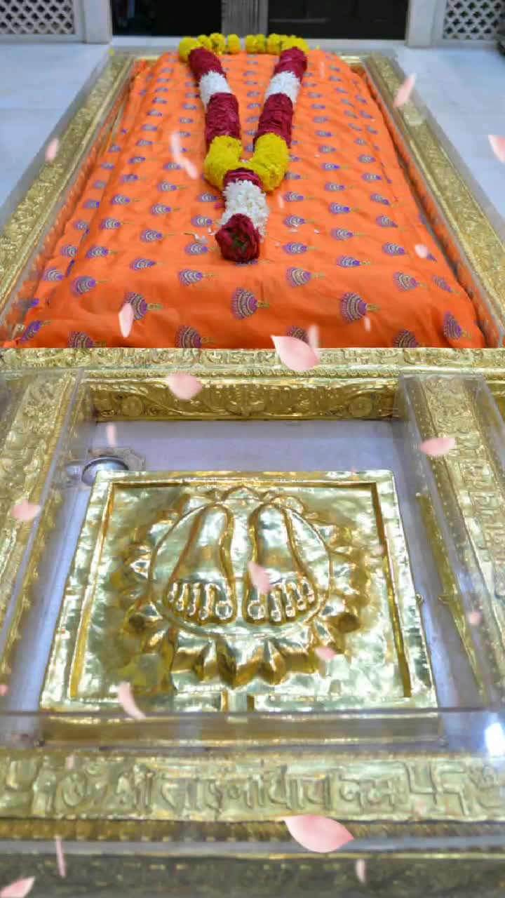 @Vicky Prajapati