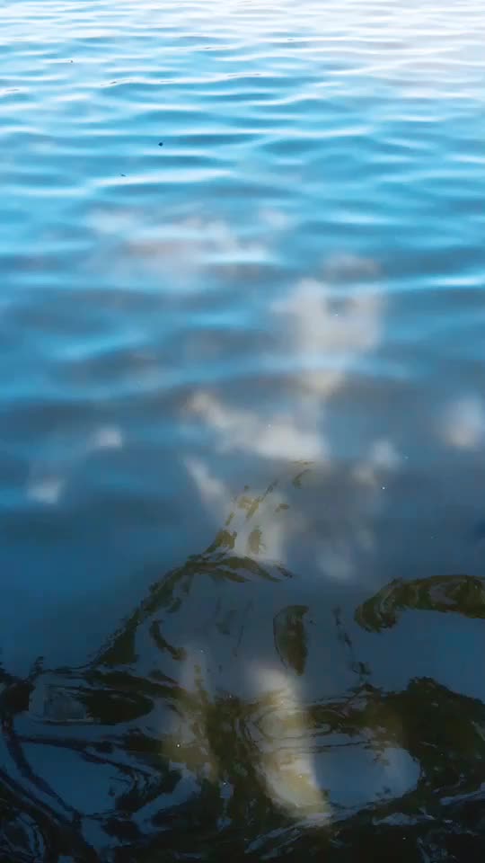 @Delish Damodaran