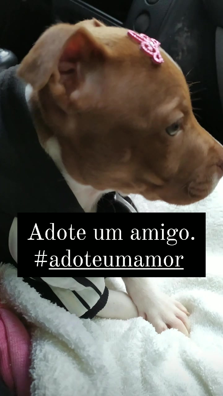 @Cristiane Teodoro