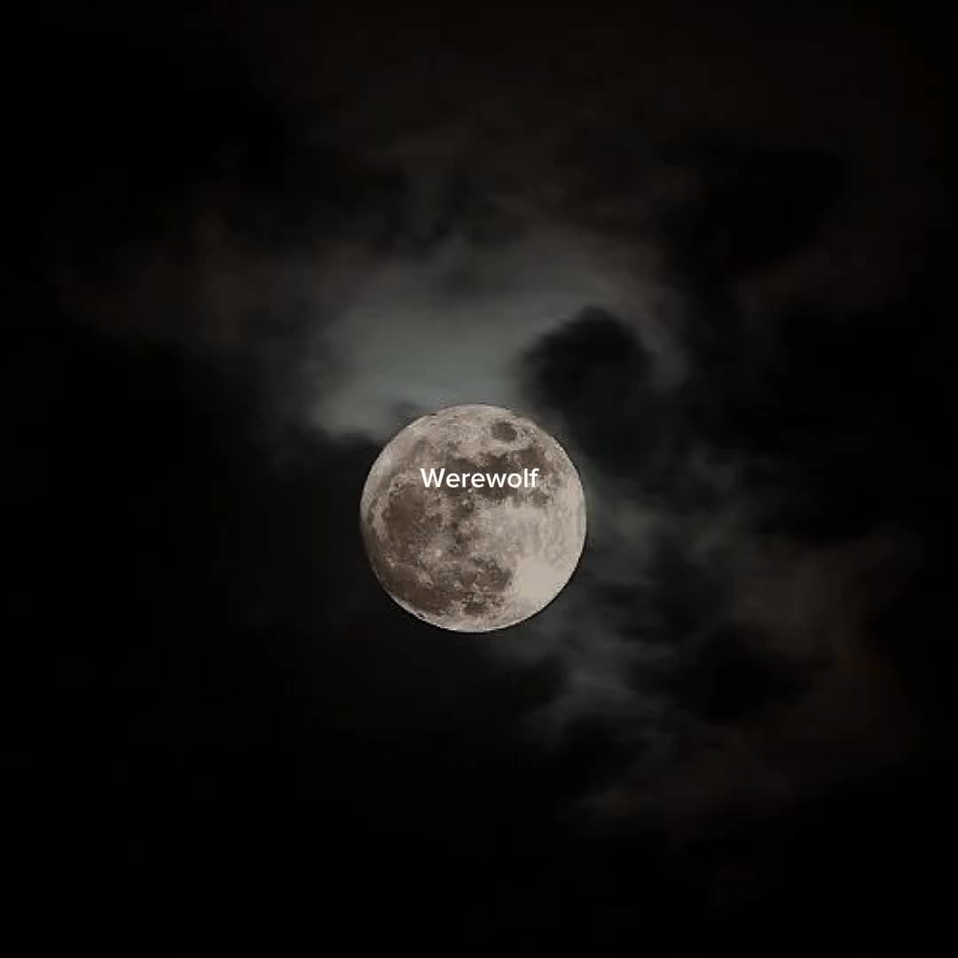 @𝐶om 𝐴mor, 𝑈ma 𝐷oida