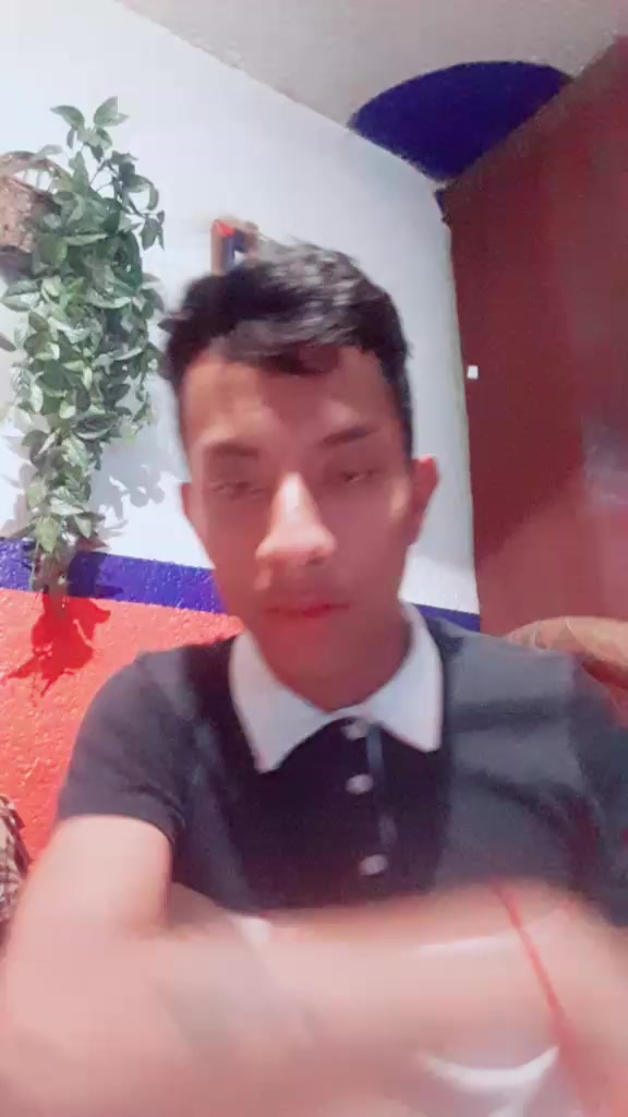 @chematellez52