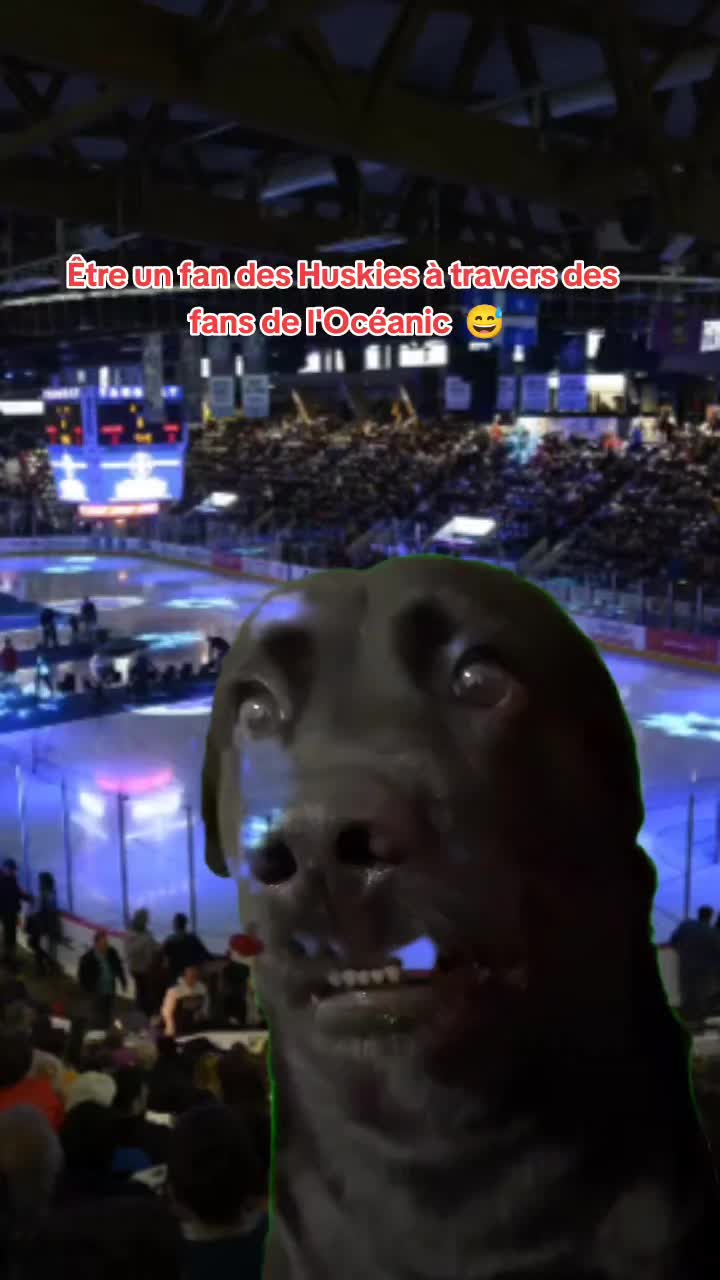 @St&eacute;phane Ouellet