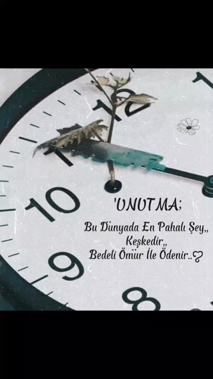 @hevidar01