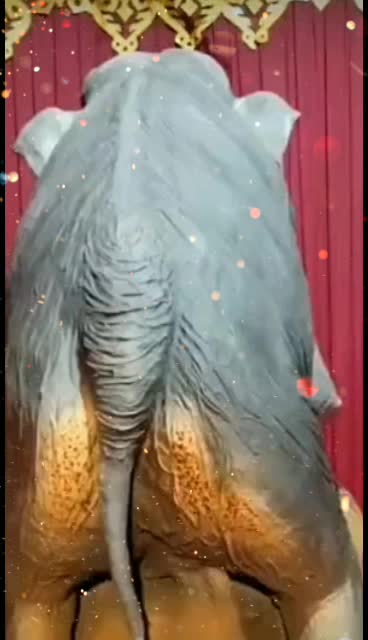 @gopinathnaik123