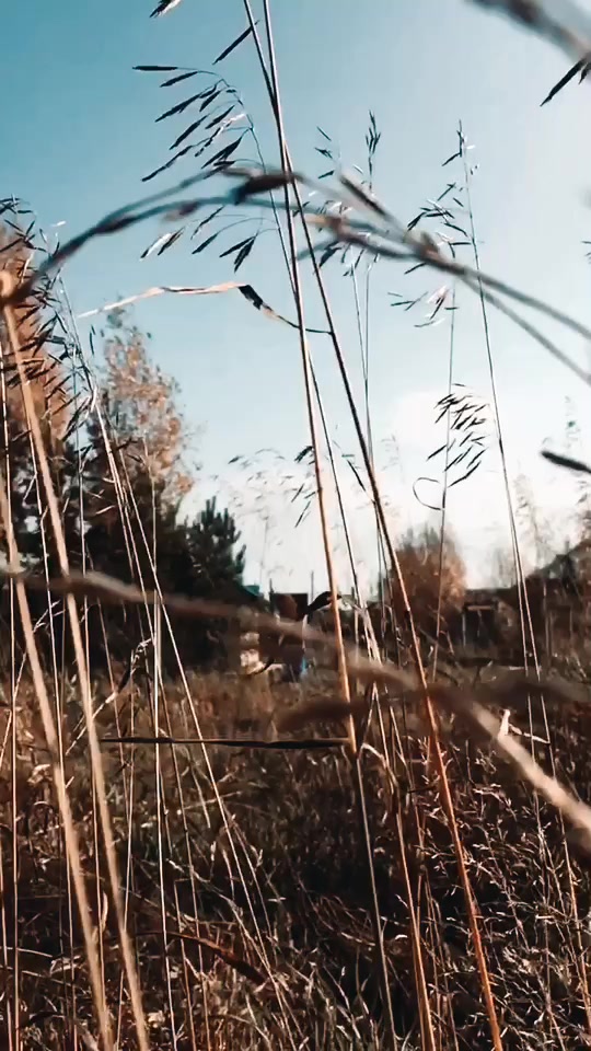@Сочник💦