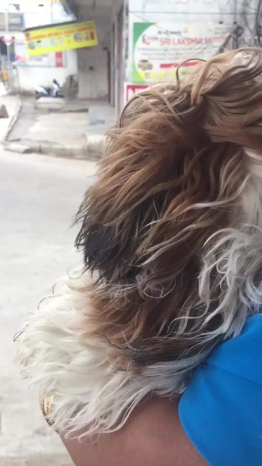 @Akila Devarakonda