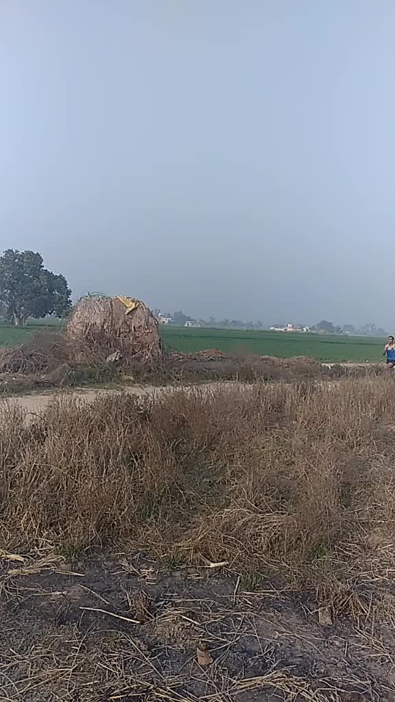 @user3274036138035