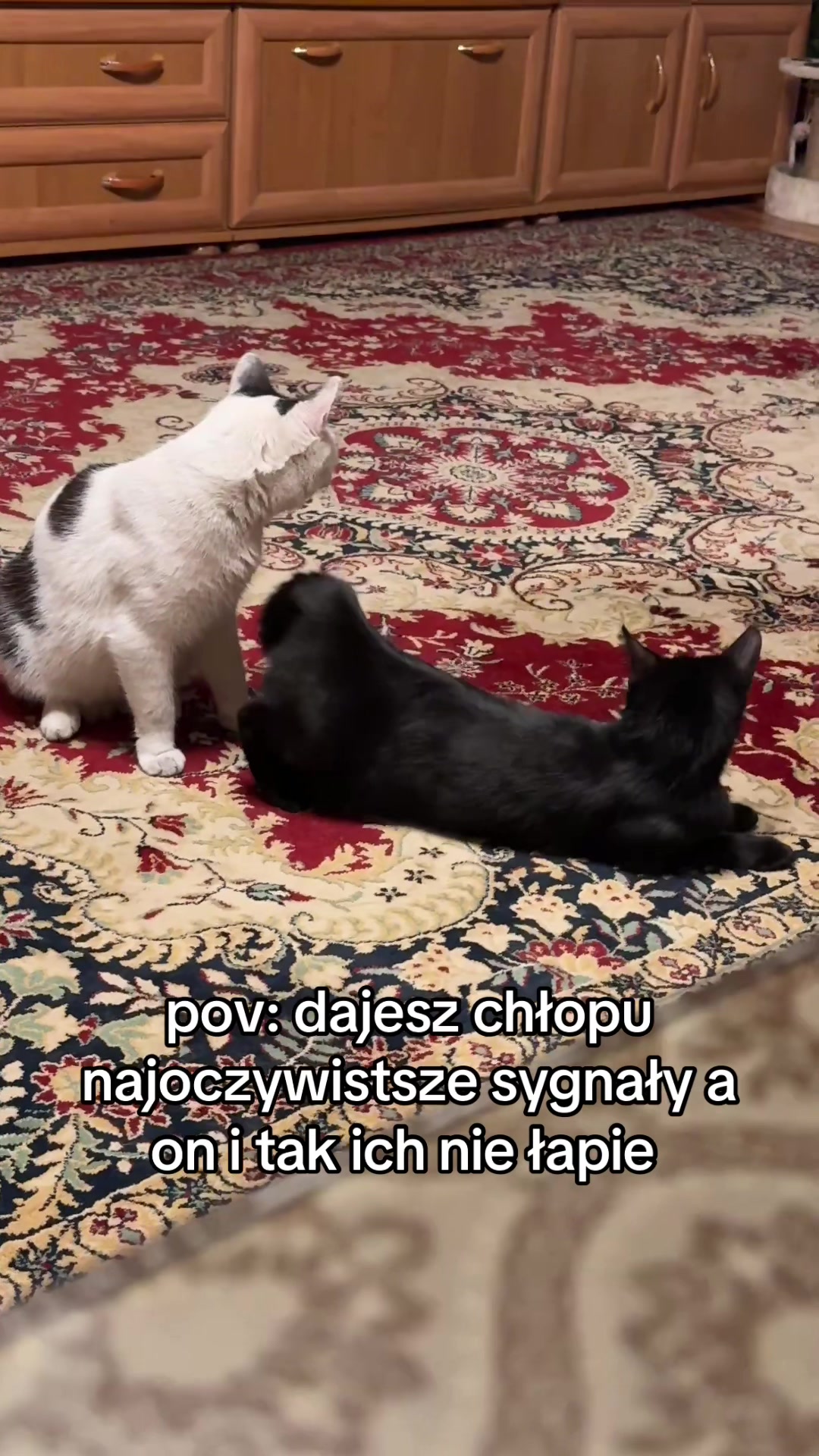 @buba