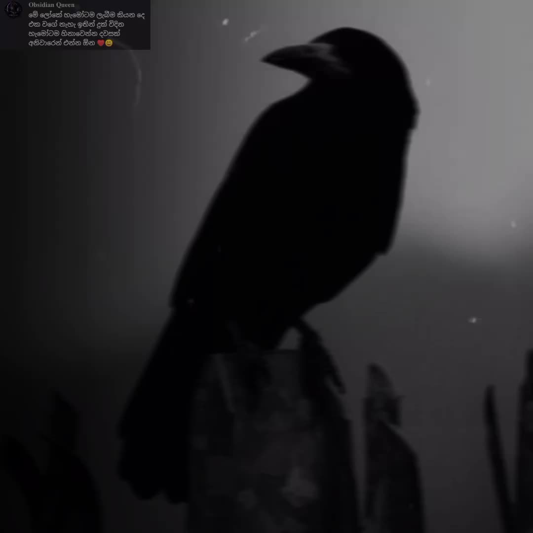 @𝐕𝐈𝐋𝐋𝐀𝐈𝐍 o_O 𝐩𝐚𝐠𝐞