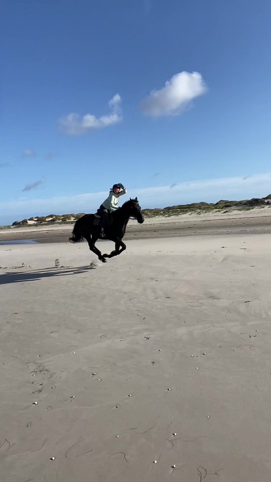 @reiterhof.andresen.amrum