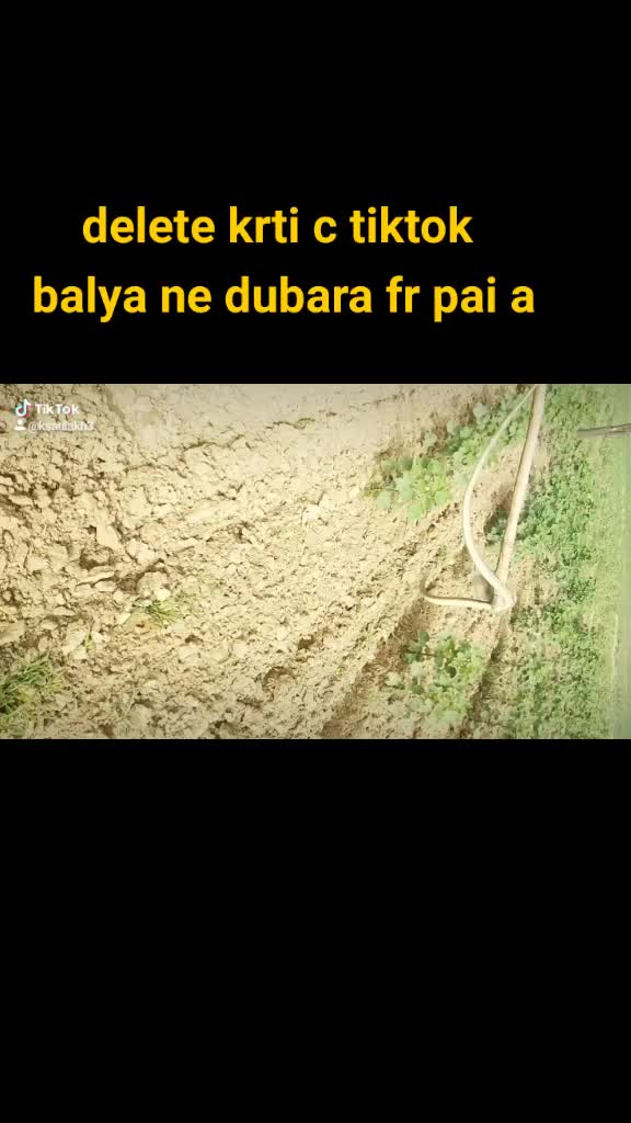 @Ks Aulakh