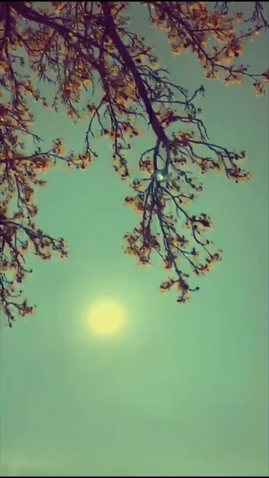 @𝓐𝓼𝓽𝓱𝓮𝓽𝓲𝓬