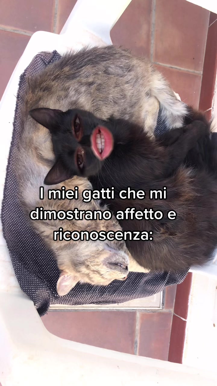 @Anastasia Cabras
