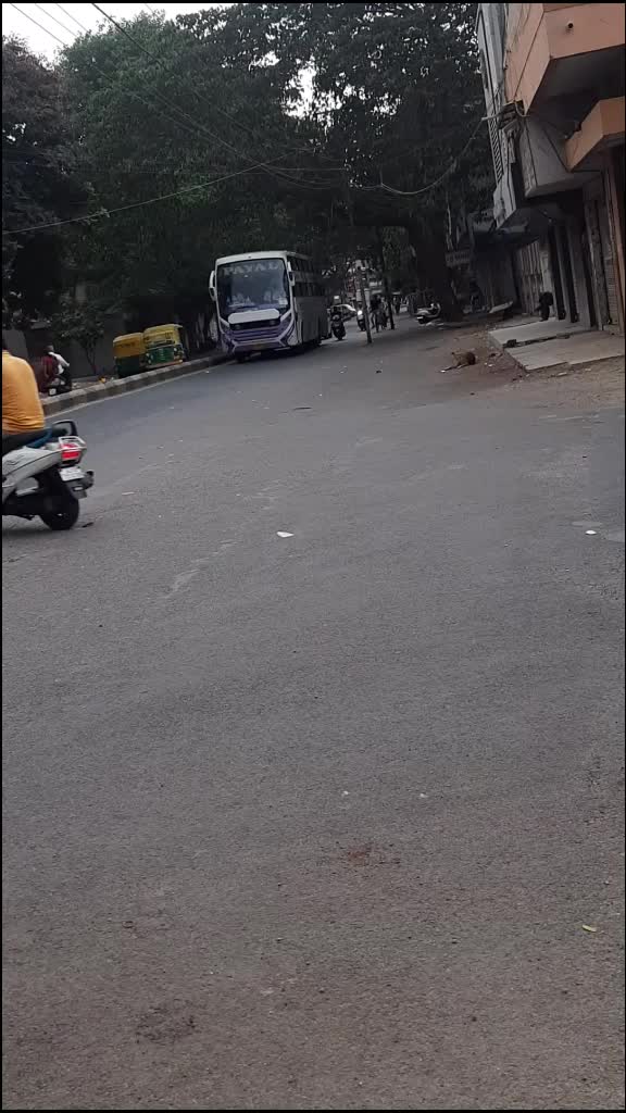 @PAYAL TRAVELS