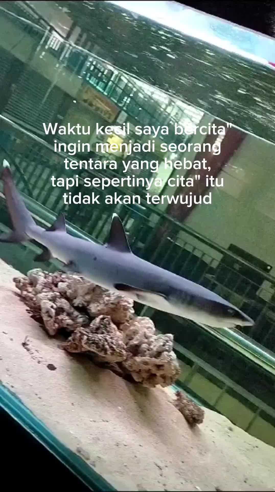 @Angga.