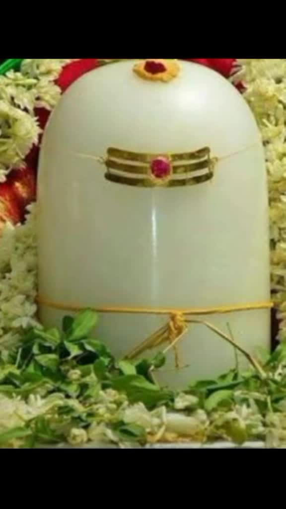 @M .siva krishna 142
