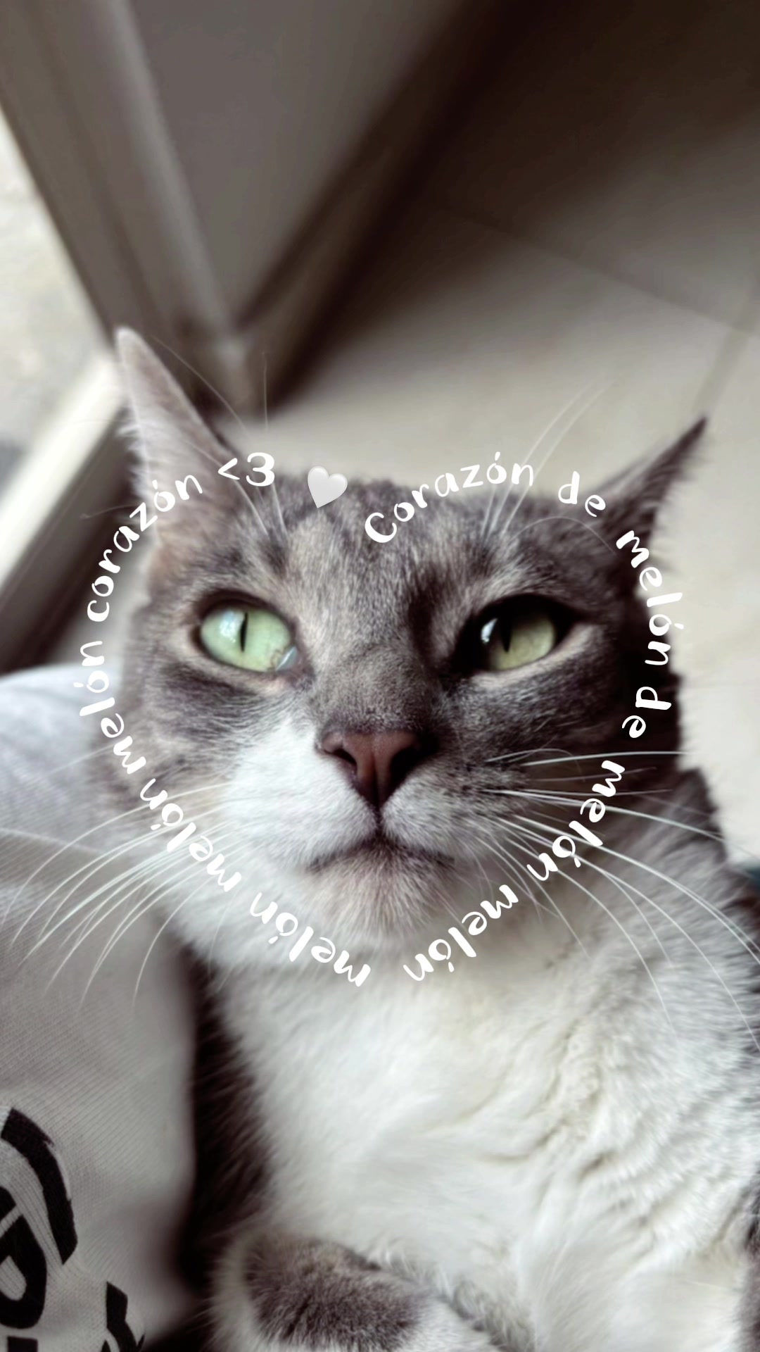 @๐๐โ๐๐ธ๐