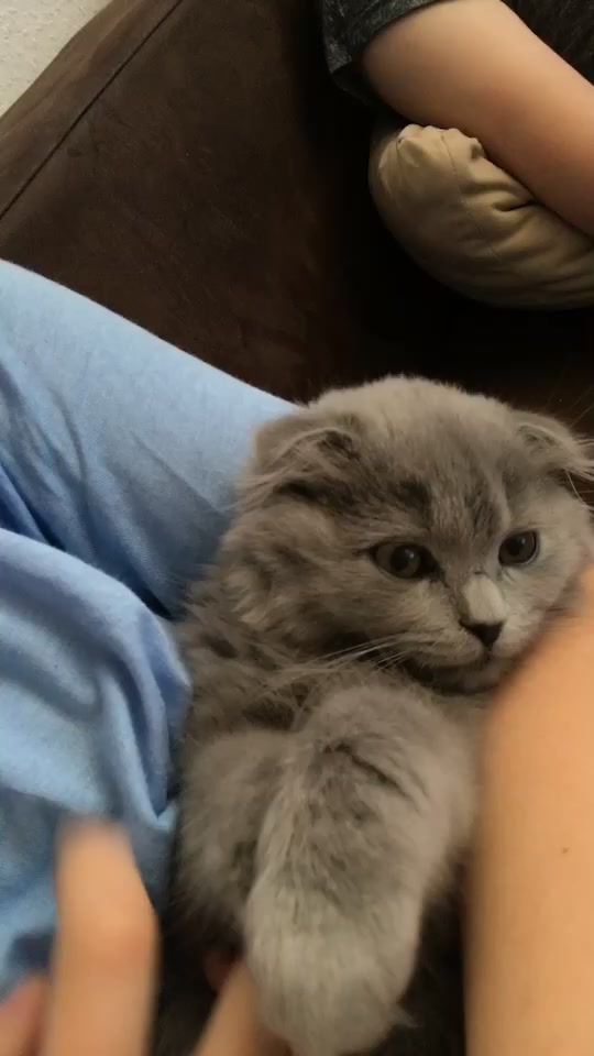 @Lili🐱❤️