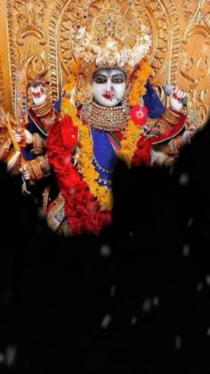 @👑tigar meldi👑
