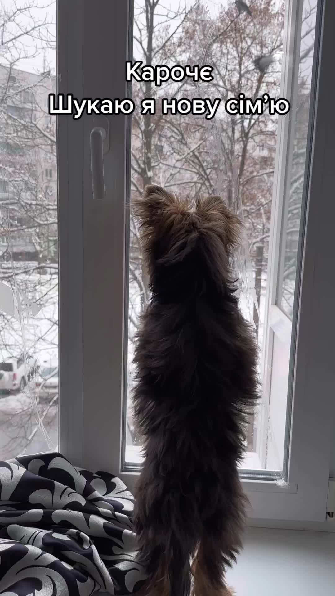 @Юлия Швец